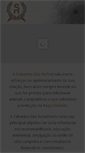 Mobile Screenshot of cabanhasaorafael.com.br